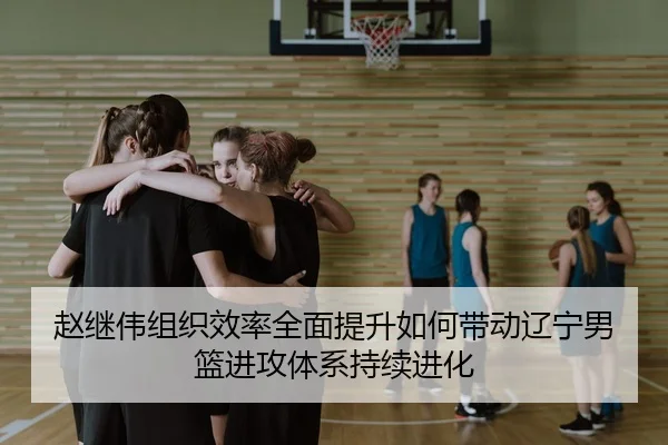 赵继伟组织效率全面提升如何带动辽宁男篮进攻体系持续进化